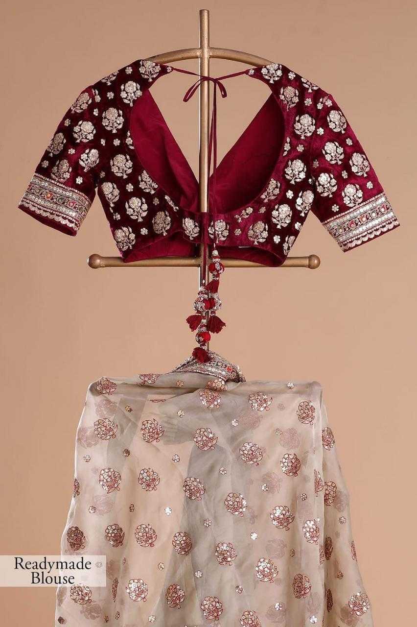 Organza Tissue Silk Zari Border Saree Saree