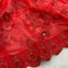Georgette  LEELA Party Wear  Red Saree
