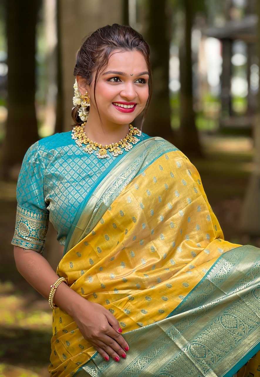 Tussar Silk Designer Saree