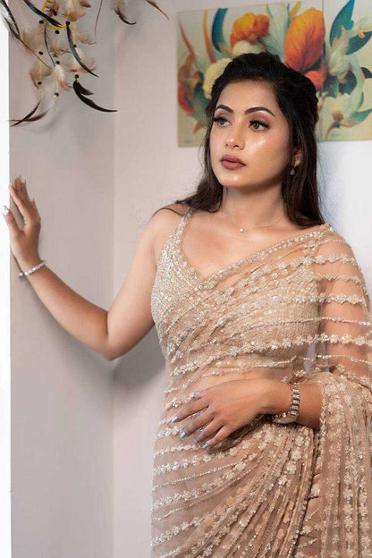 Net Saree with Sequence