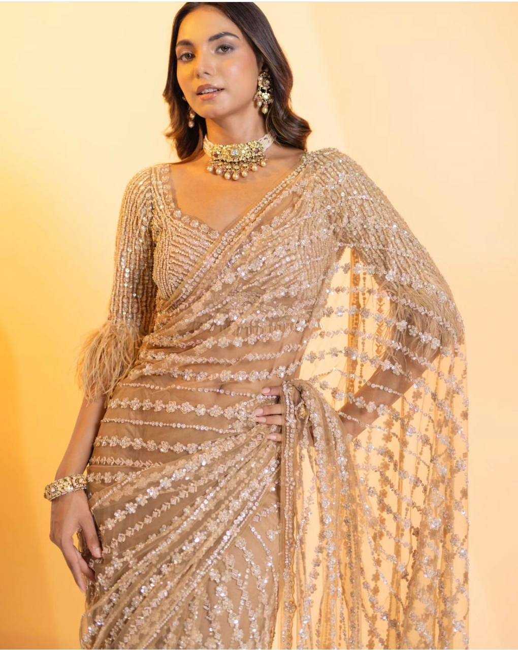 Net Saree with Sequence