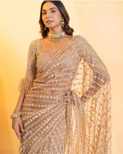 Net Saree with Sequence