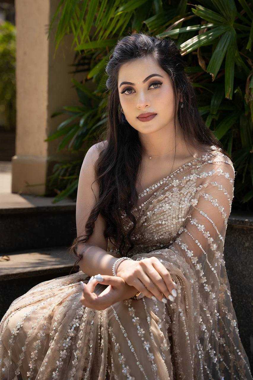 Net Saree with Sequence