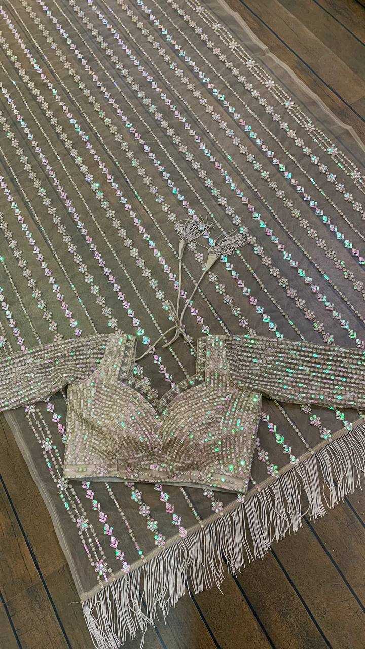 Net Saree with Sequence