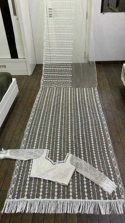 Net Saree with Sequence