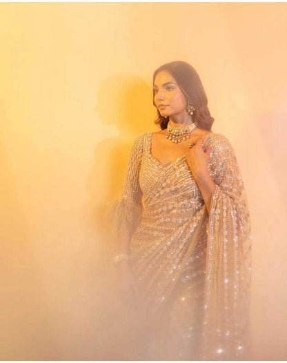 Net Saree with Sequence