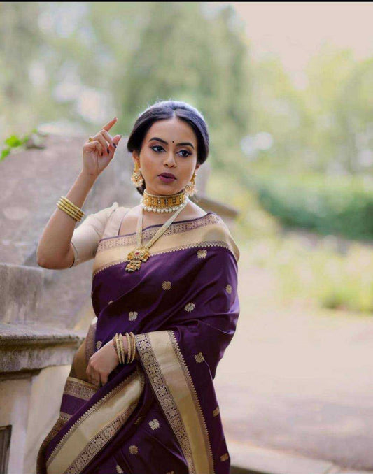 Banarasi Soft Silk