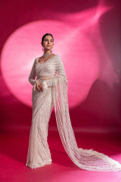 Net Saree with Sequence