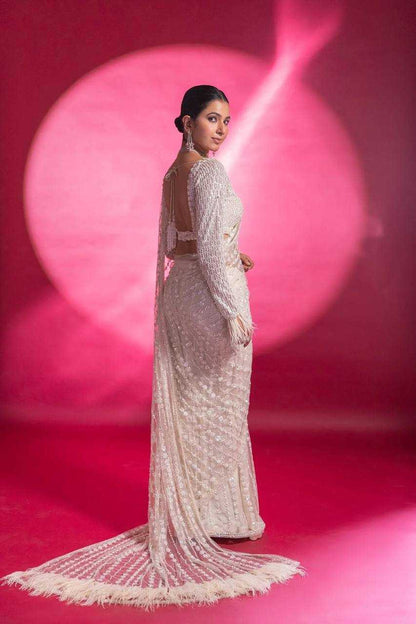 Net Saree with Sequence