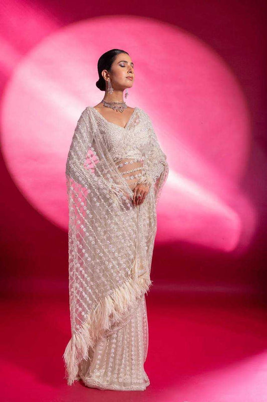 Net Saree with Sequence