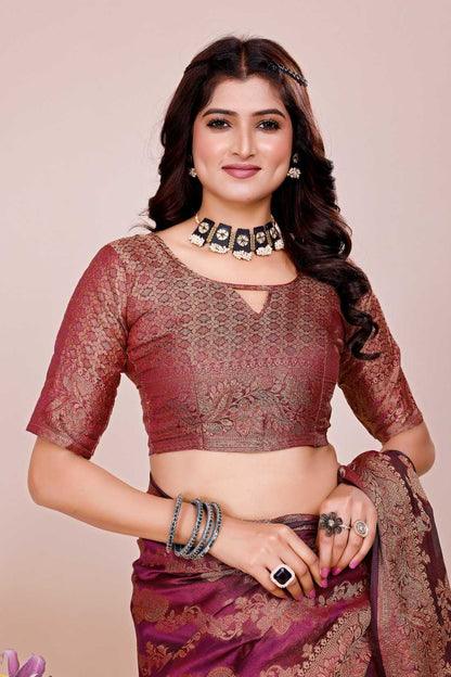 Organza Silk Saree