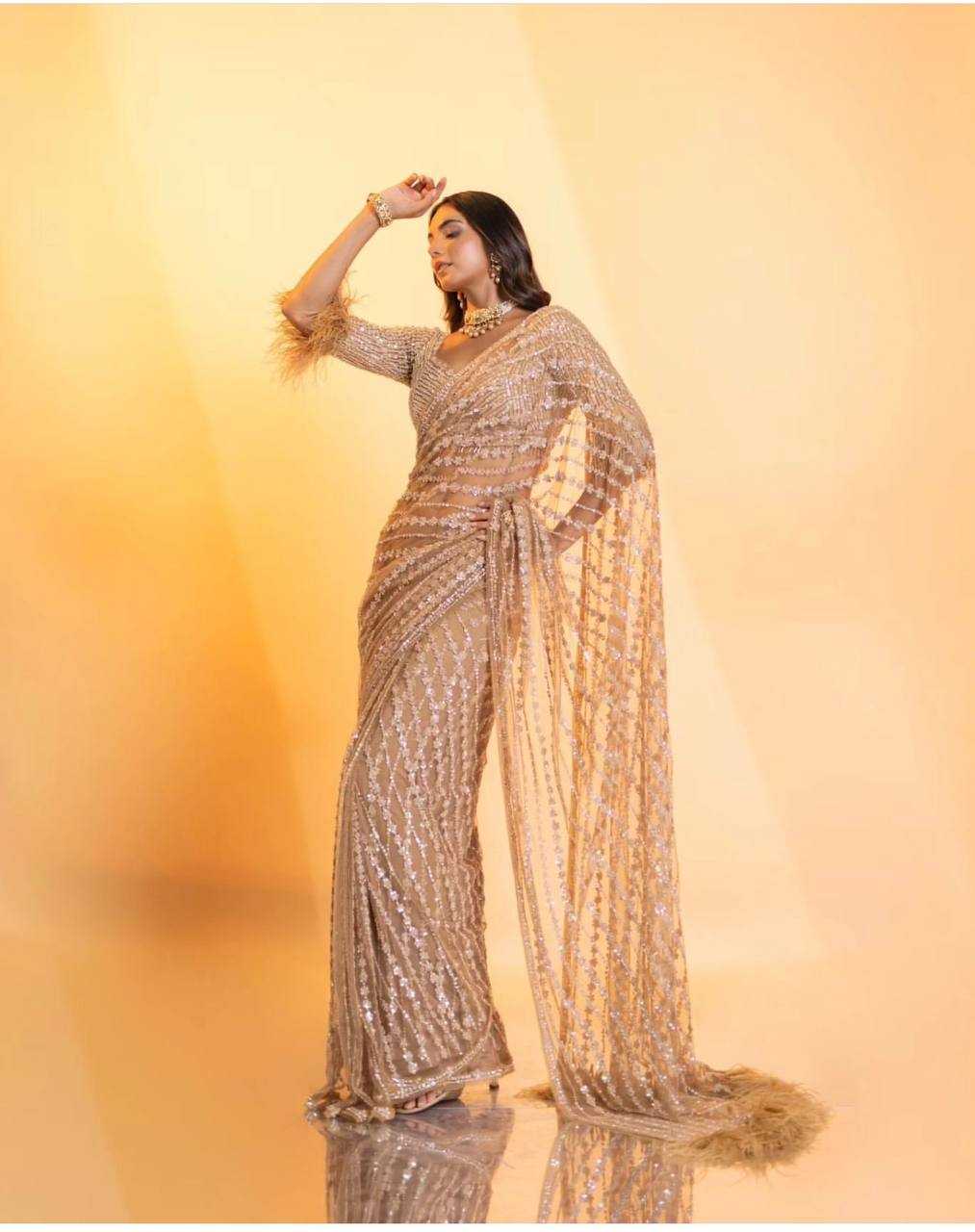 Net Saree with Sequence