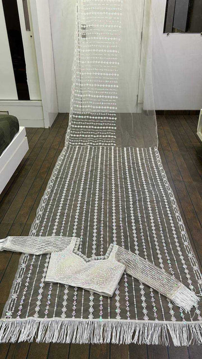 Net Saree with Sequence