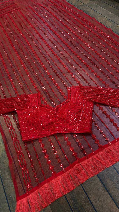 Net Saree with Sequence