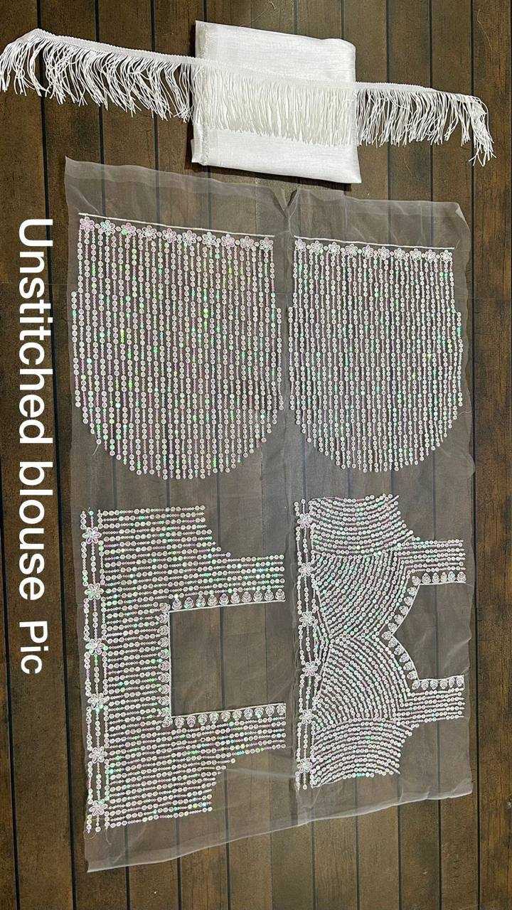 Net Saree with Sequence
