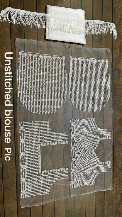 Net Saree with Sequence