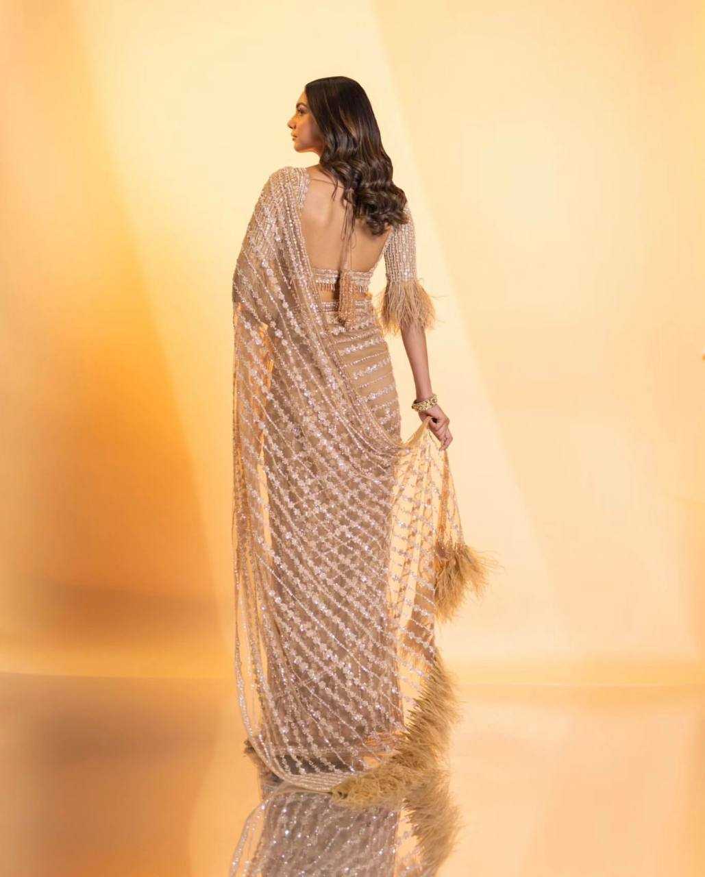 Net Saree with Sequence
