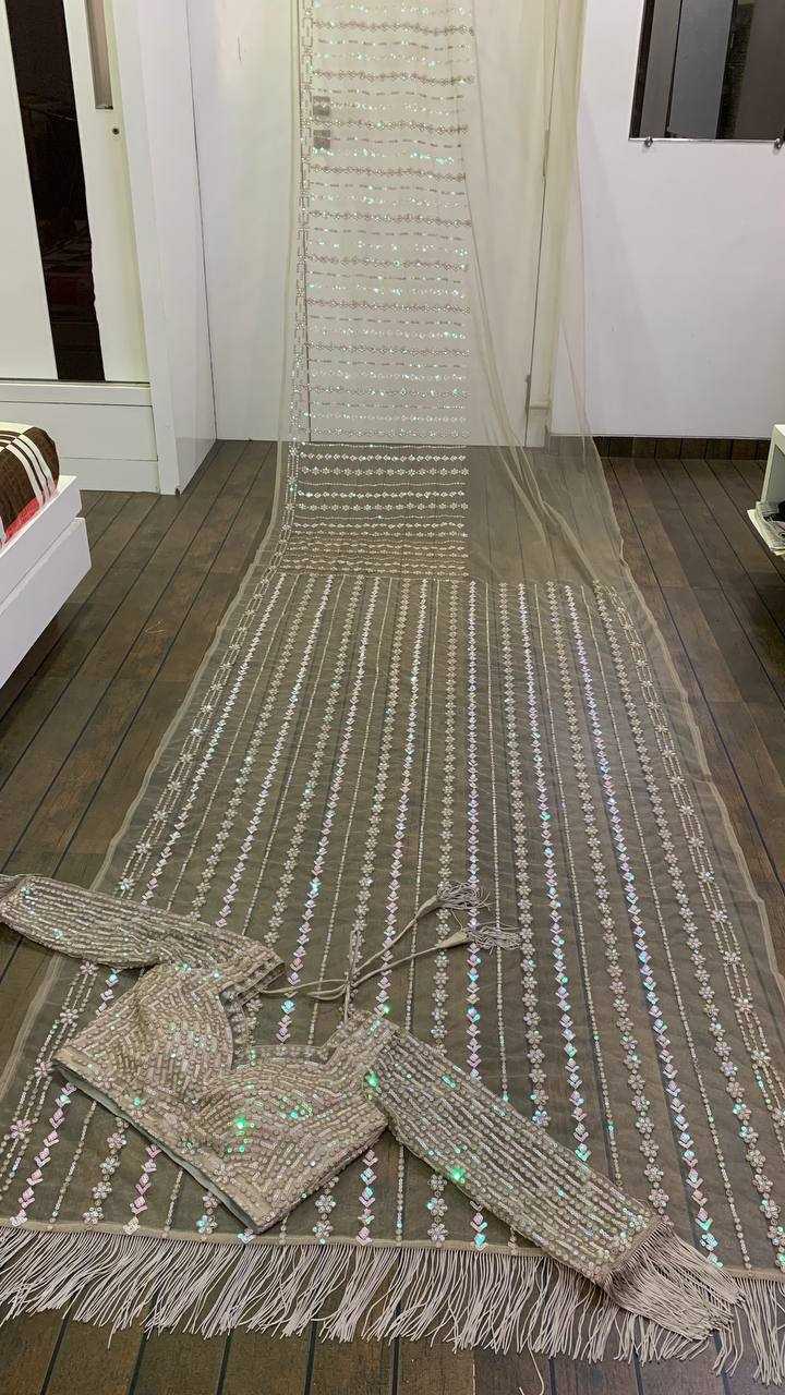Net Saree with Sequence