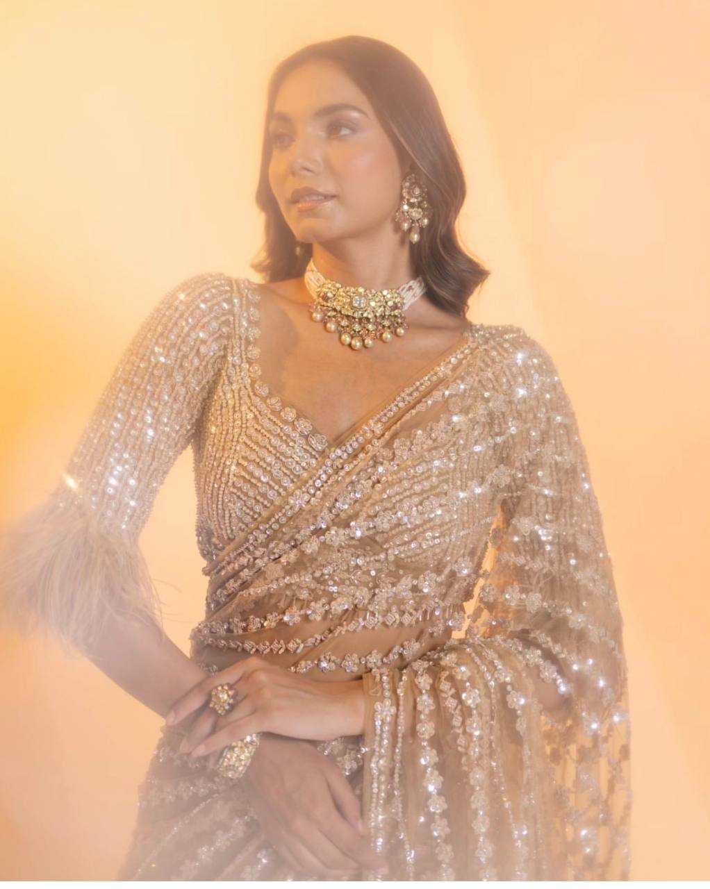 Net Saree with Sequence