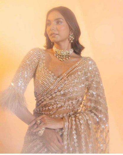 Net Saree with Sequence