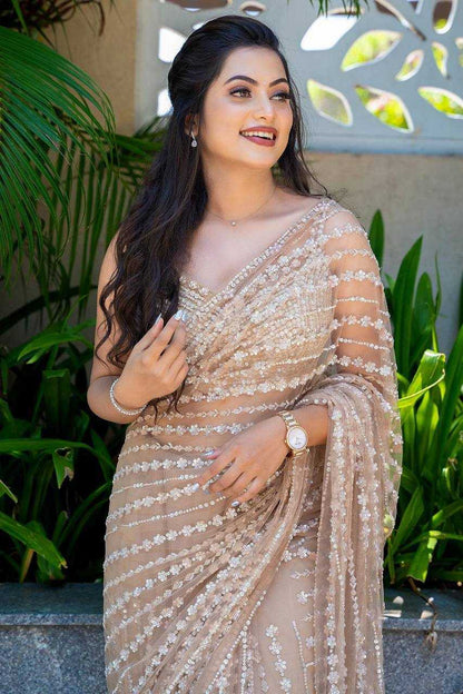 Net Saree with Sequence