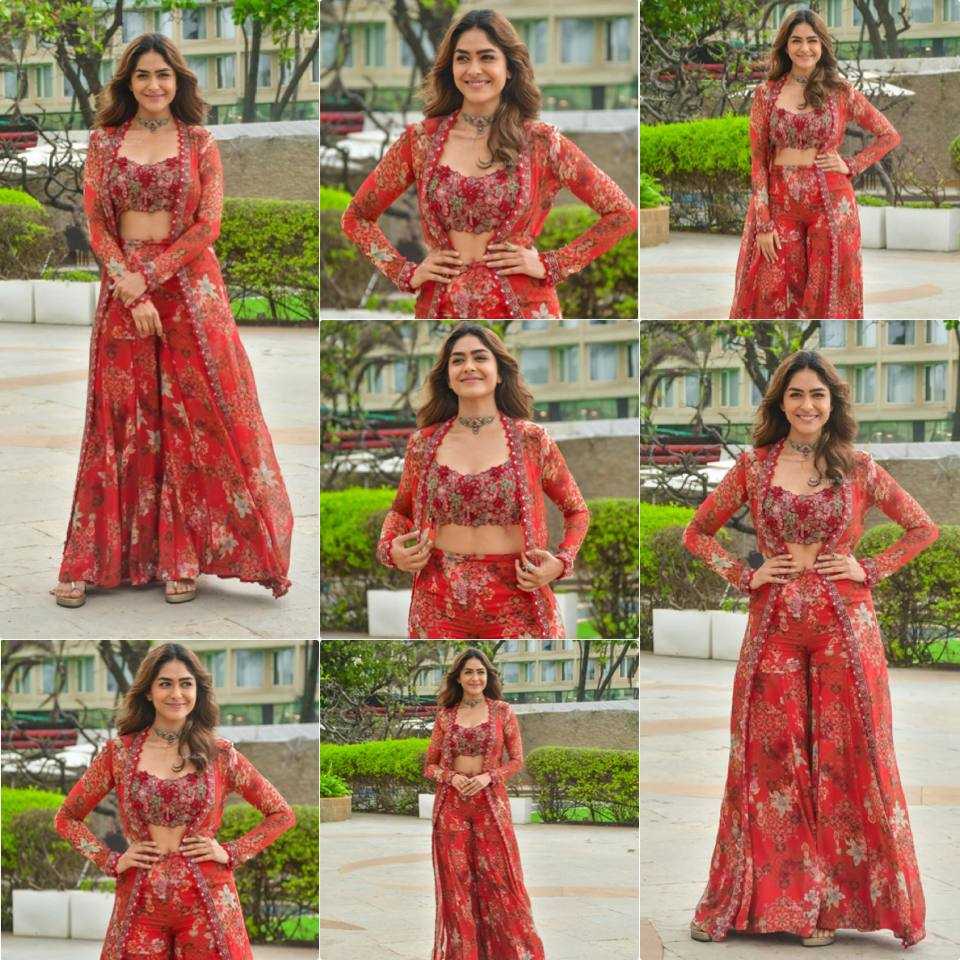 Bollywood Sharara Palazzo Suit