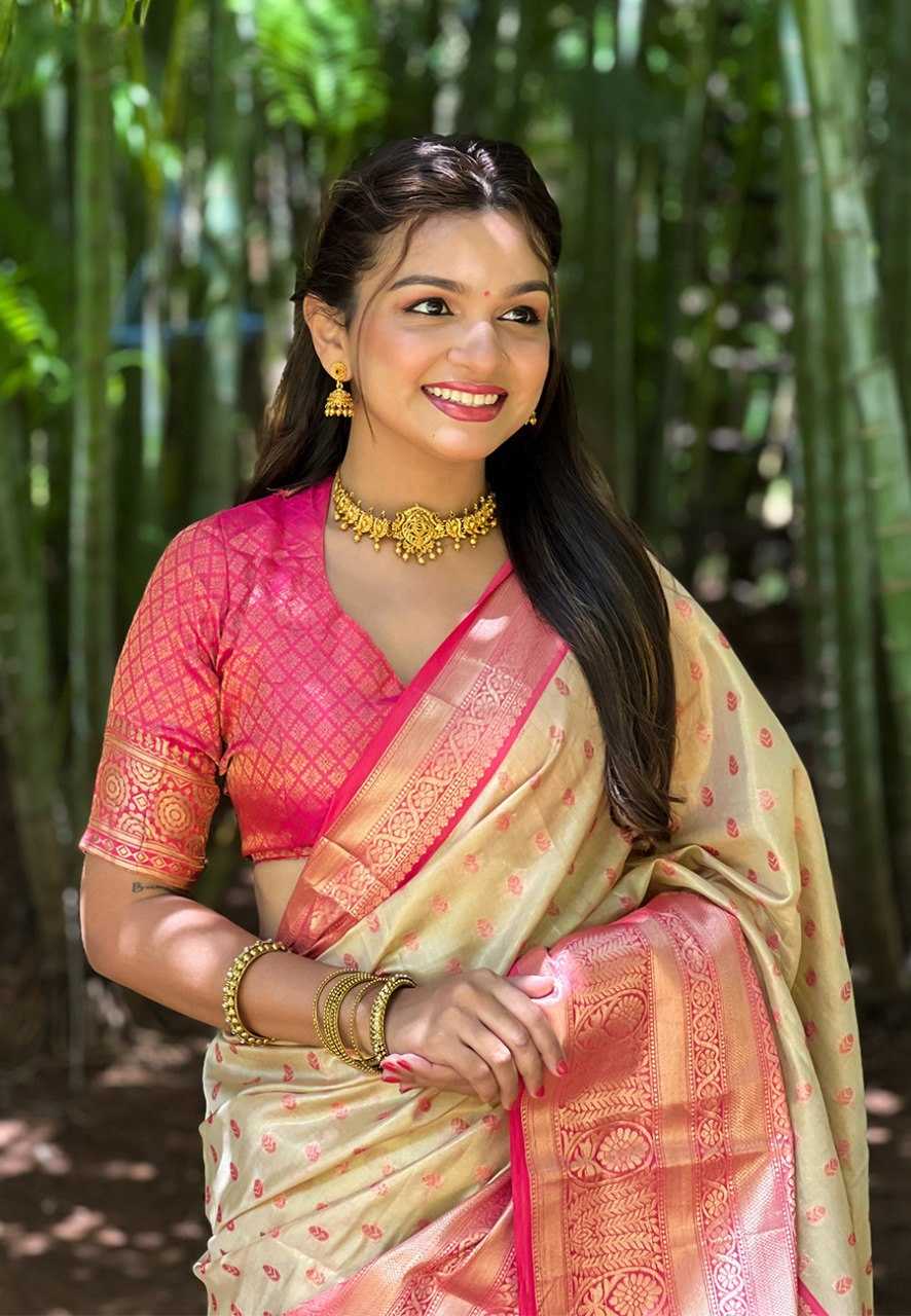 Tussar Silk Designer Saree