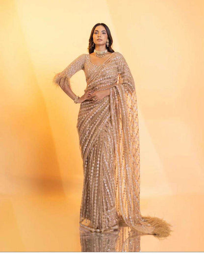 Net Saree with Sequence