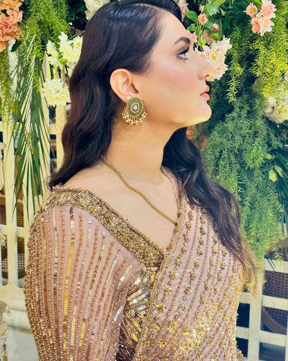 Butterfly Net Sequins Work Saree