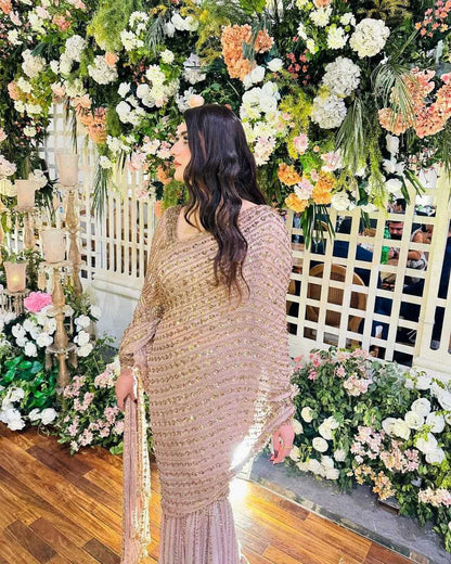 Butterfly Net Sequins Work Saree
