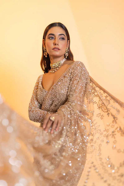 Butterfly Net  Embroidered  Saree With Blouse Wedding Collections