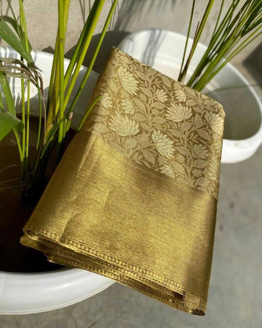 Kanjivaram Silk Bollywood Saree Collection